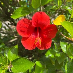 Check out my listings!